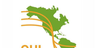 INTERNACIONALIZACIÓN DE LA EDUCACIÓN SUPERIOR La OUI lanza oferta formativa disponible para miembros de la UNNE