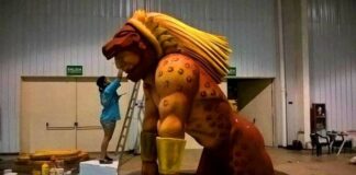 Relatos con color, ritmos y alegría Miradas de carnaval