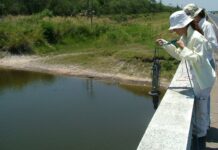 La UNNE cuenta con 137 grupos de investigación acreditados formalmente