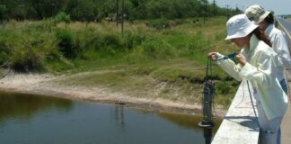 La UNNE cuenta con 137 grupos de investigación acreditados formalmente