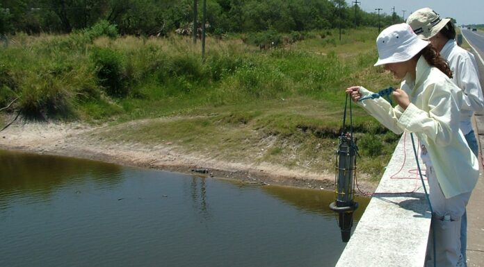 La UNNE cuenta con 137 grupos de investigación acreditados formalmente