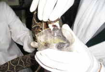 Identifican el rol de una enzima del veneno de serpientes de inhibir la agregación plaquetaria Estudio del veneno en Yarará Grande