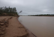 PROYECTO INTERINSTITUCIONAL Estudiarán la diversidad íctica y la actividad pesquera en ríos de El Impenetrable El estudio aportará información sobre la diversidad íctica de El Impenetrable