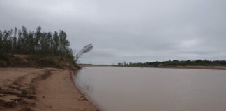 PROYECTO INTERINSTITUCIONAL Estudiarán la diversidad íctica y la actividad pesquera en ríos de El Impenetrable El estudio aportará información sobre la diversidad íctica de El Impenetrable