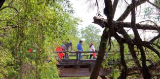 Proyectos PICTO-UNNE Reflexiones críticas sobre turismo y cultura en el Impenetrable Una investigación interdisciplinaria la relación entre turismo y cultura en la región del Impenetrable