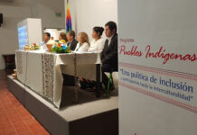 Comunicado La educación superior debe garantizar la inclusión de los pueblos indígenas y afrodescendientes