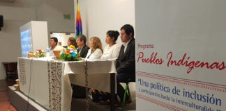 Comunicado La educación superior debe garantizar la inclusión de los pueblos indígenas y afrodescendientes