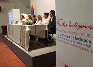 Comunicado La educación superior debe garantizar la inclusión de los pueblos indígenas y afrodescendientes