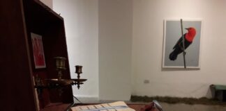 Sala del Sol del CCU Muestra colectiva “¿Quién es Renato H?”