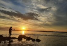 Cátedra libre del Chamamé Arteletra , un taller gratuito para ir y volver sobre la Poesía del Chamamé