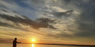 Cátedra libre del Chamamé Arteletra , un taller gratuito para ir y volver sobre la Poesía del Chamamé