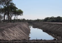 RIESGOS AMBIENTALES Ven con preocupación crecimiento de urbanizaciones privadas en zonas de lagunas en los últimos años