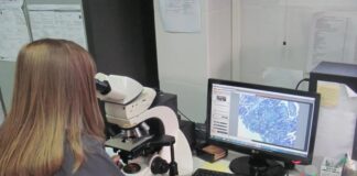 En un emotivo acto, la Facultad de Ciencias Veterinarias otorgó el grado de Doctora post mortem a Winnie Merlo