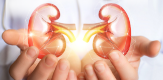 Factores de riesgos que llevan a la enfermedad crónica renal Medicina mantiene su compromiso con la prevención de la enfermedad renal crónica