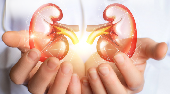 Factores de riesgos que llevan a la enfermedad crónica renal Medicina mantiene su compromiso con la prevención de la enfermedad renal crónica