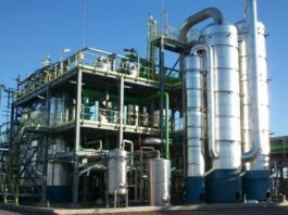 «Que Argentina no prorrogue la Ley de Biocombustibles sería ir a contramano del mundo» Biocombustibles en Argentina