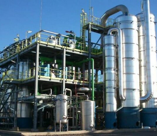 «Que Argentina no prorrogue la Ley de Biocombustibles sería ir a contramano del mundo» Biocombustibles en Argentina