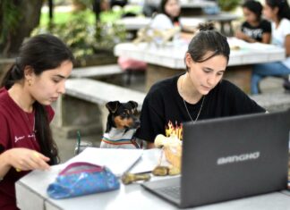 Desde el 19 de abril al 3 de Mayo La UNNE abre la convocatoria a Becas de Conectividad 2021 Estudiantes UNNE- Becas Conectividad