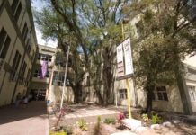 La UNNE superó los 14 mil nuevos inscriptos para el ciclo académico 2021 Ingresos 2021 UNNE