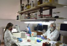 COVID-19 Para conocer el comportamiento y la presentación clínica de las nuevas cepas se requieren estudios a nivel local Secuenciación del virus