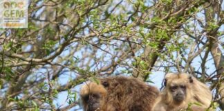 Ciclo de Cine del CCU “El mundo está cambiando para mal, debemos pensar en las generaciones futuras, para generar cambios y dejarles un mundo en pie” Foto propiedad de EBCo