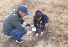 INSTITUTO DE BOTANICA DEL NORDESTE Identifican patrones de diversidad genética de leguminosas del NEA y aportan datos para el aprovechamiento sustentable