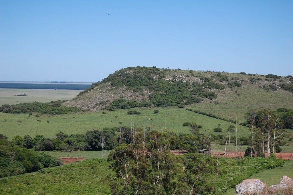 “Tres Cerros”, Un Ecosistema Que Concentra El 36% De La Avifauna De ...