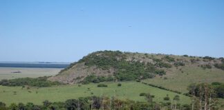 «Tres Cerros», un ecosistema que concentra el 36% de la avifauna de Corrientes y especies amenazadas a escala global