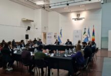 FADyCC Artes: El Consejo Directivo reeligió por unanimidad como decano a Federico Veiravé