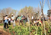 Acto de lanzamiento del II Congreso Argentino de Agroecología