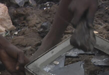 Ciclo de Cine del CCU Con proyección de documental, concluye el ciclo de cine ambiental en el CCU