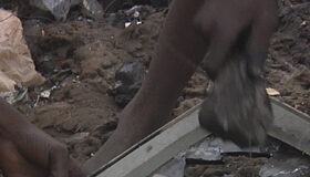 Ciclo de Cine del CCU Con proyección de documental, concluye el ciclo de cine ambiental en el CCU