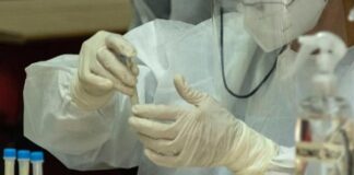 Aprueban la asignación de 129 becas para la formación en la carrera de investigador en la UNNE