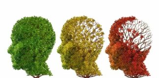 Entrevista Alzheimer: para docente de Farmacología es “modesta” aún la eficacia del nuevo tratamiento Nuevo fármaco contra el Alzheimer