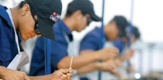 CIENCIA CONTRA EL HAMBRE Empleo Joven: buscan consolidar la vinculación entre oferta y demanda laboral en Chaco