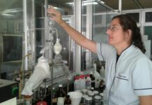 Ciencia y Tecnología contra el hambre: cómo es el proyecto para producir harina de porotos y formular nuevos alimentos en Corrientes Una de las propuestas seleccionadas por Nación pertenece a investigadoras del CONICET Nordeste y consiste en el desarrollo de una planta piloto que procesará legumbres de la región: el caupí y el guandú.