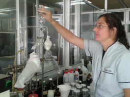 Ciencia y Tecnología contra el hambre: cómo es el proyecto para producir harina de porotos y formular nuevos alimentos en Corrientes Una de las propuestas seleccionadas por Nación pertenece a investigadoras del CONICET Nordeste y consiste en el desarrollo de una planta piloto que procesará legumbres de la región: el caupí y el guandú.