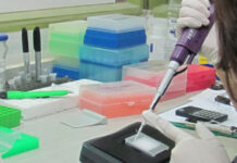 La UNNE accede a 124 becas de estímulos a las vocaciones científicas