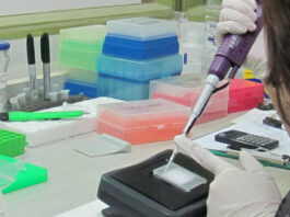 La UNNE accede a 124 becas de estímulos a las vocaciones científicas