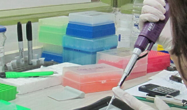 La UNNE accede a 124 becas de estímulos a las vocaciones científicas