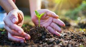 OPINIÓN Reimagina, recupera y restaura para cuidar el Medio Ambiente El día del Medio Ambiente deberíamos celebrar cada día, con cada acción y gesto