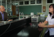 Abstract Capítulo: «Caracterización de venenos de serpientes»