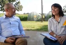 Abstract Capítulo: «Aprovechamiento Integral de la Mandioca»