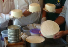 Buscan incrementar la producción y mejorar la calidad e inocuidad de quesos artesanales de la región