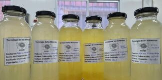 Para reutilizar suero lácteo, trabajan en la producción de una bebida frutal “probiótica”
