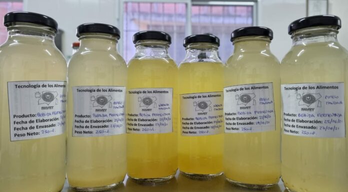 Para reutilizar suero lácteo, trabajan en la producción de una bebida frutal “probiótica”