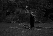 Centro Cultural Universitario Charla sobre fauna y flora autóctona en la Sala del Sol