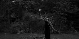 Centro Cultural Universitario  Charla sobre fauna y flora autóctona en la Sala del Sol