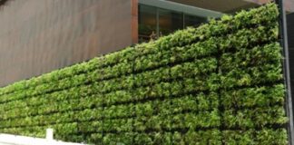 Calculan la mejora térmico-acústico que aportarían “paredes y techos verdes” en sistemas constructivos de la región