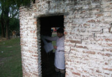 MEDICINA REGIONAL Investigadores de la UNNE describen una nueva especie de flebótomo